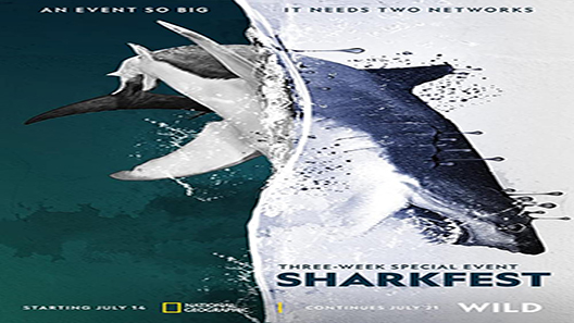 فيلم Man Vs Shark 2019 مترجم