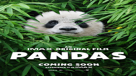 فيلم Pandas 2018 مترجم
