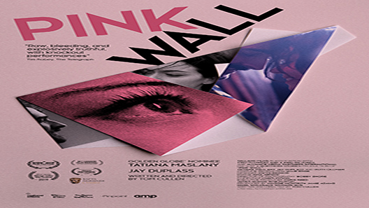 فيلم Pink Wall 2019 مترجم