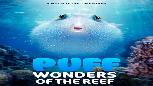 فيلم Puff: Wonders of the Reef 2021 مترجم