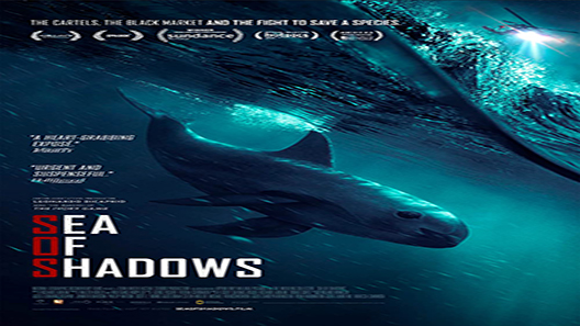 فيلم Sea Of Shadows 2019 مترجم