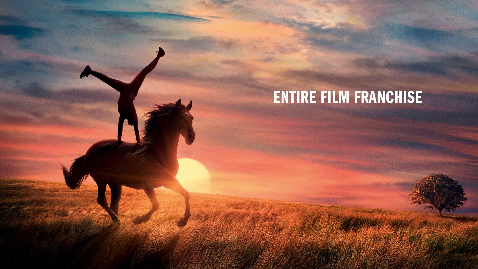 فيلم Windstorm: The Great Hurricane 2021 مترجم