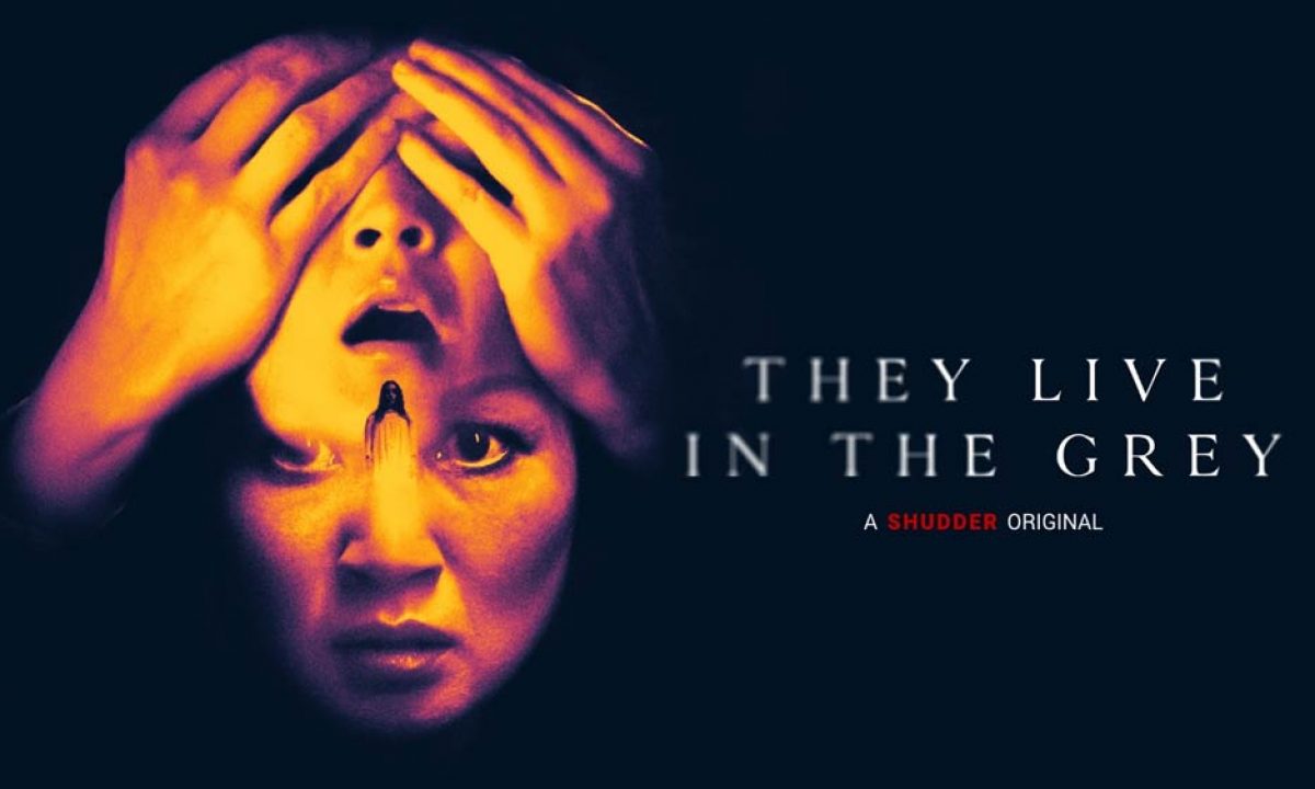 فيلم They Live in the Grey 2022 مترجم