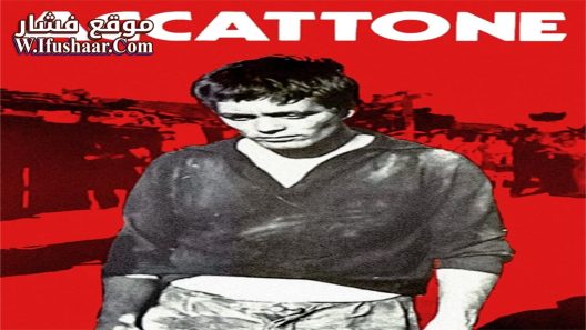 فيلم Accattone 1961 مترجم