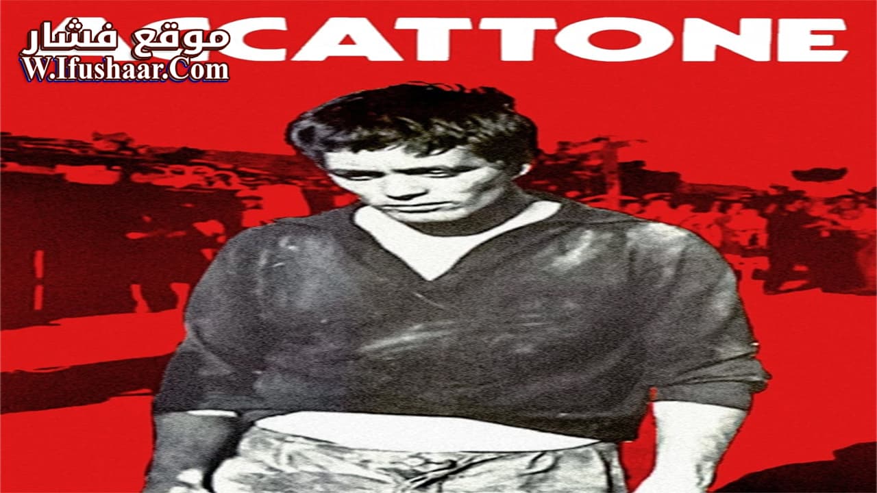 فيلم Accattone 1961 مترجم