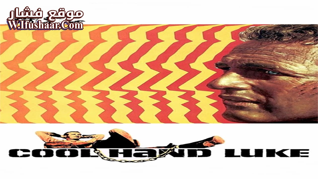 فيلم Cool Hand Luke 1967 مترجم