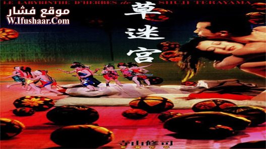 فيلم Grass Labyrinth 1979 مترجم