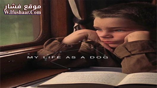 فيلم My Life as a Dog 1985 مترجم