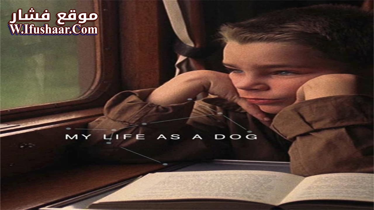 فيلم My Life as a Dog 1985 مترجم