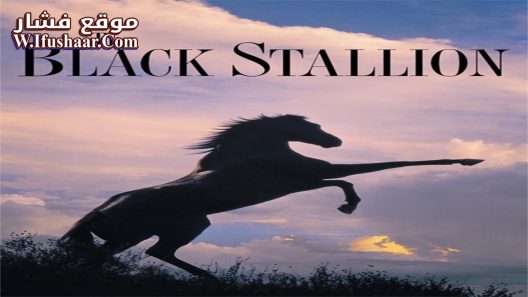 فيلم The Black Stallion 1979 مترجم