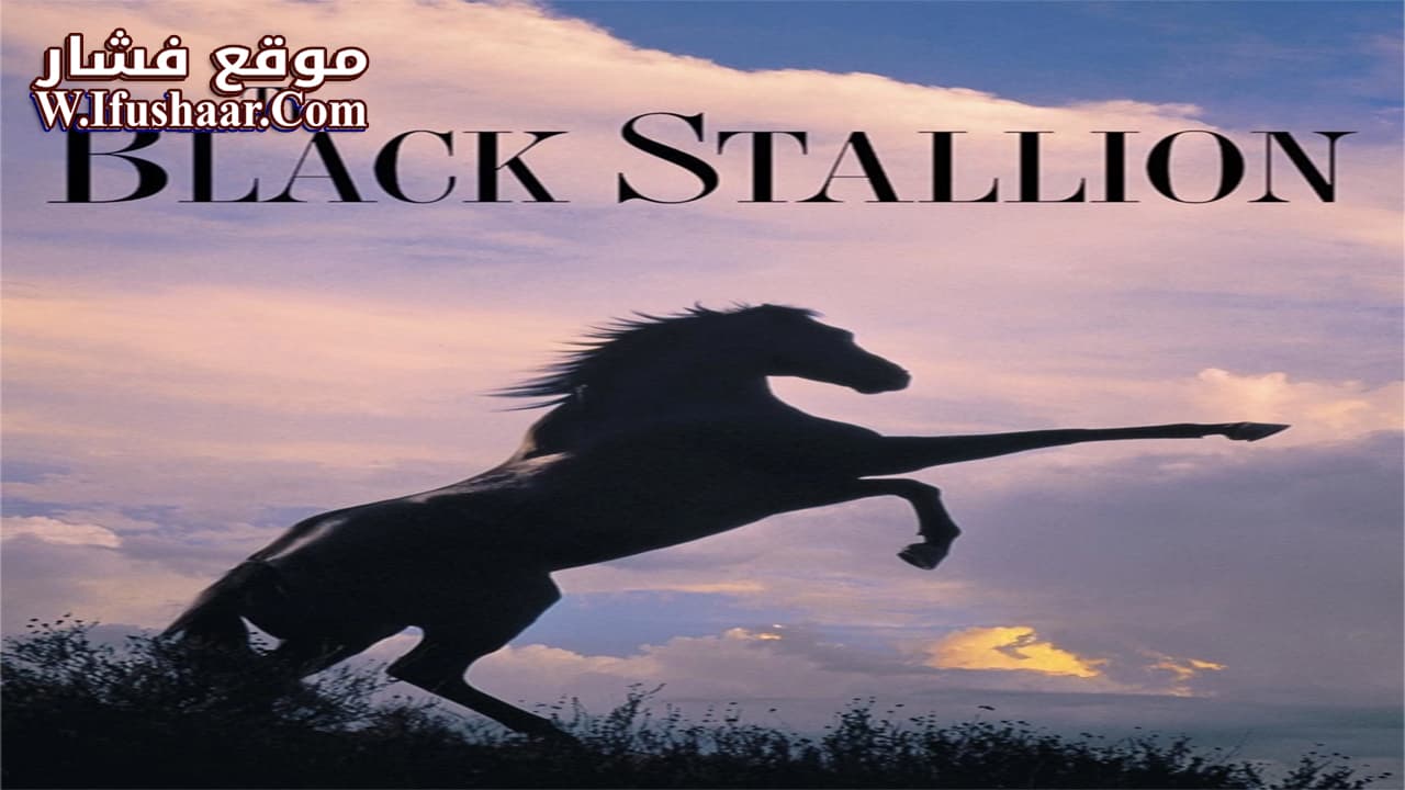 فيلم The Black Stallion 1979 مترجم