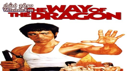 فيلم The Way of the Dragon 1972 مترجم