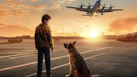 فيلم A Dog Named Palma 2021 مترجم