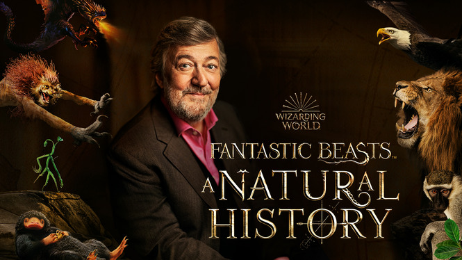 فيلم Fantastic Beasts A Natural History 2022 مترجم