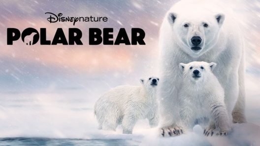 فيلم Bear witness 2022 مترجم