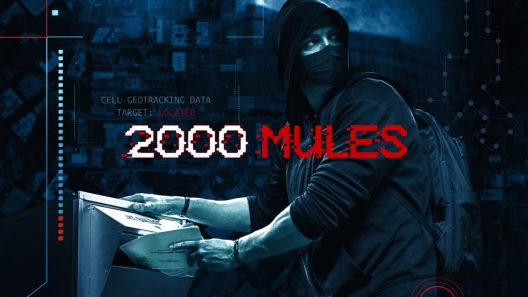 فيلم 2000 Mules 2022 مترجم