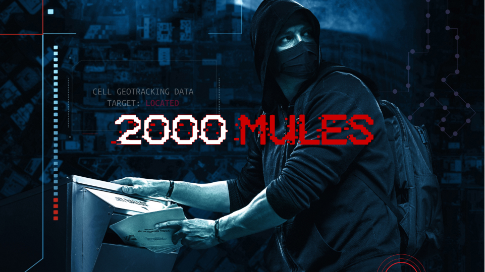 فيلم 2000 Mules 2022 مترجم