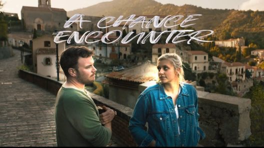فيلم A Chance Encounter 2022 مترجم