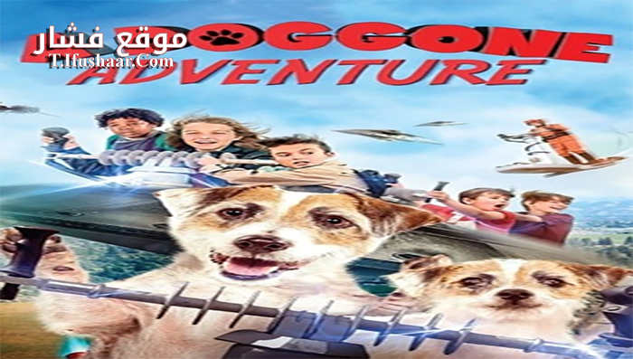 فيلم A Doggone Adventure 2018 مترجم