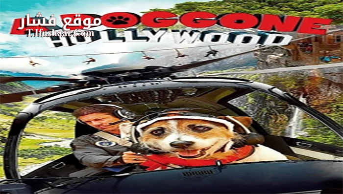 فيلم A Doggone Hollywood 2017 مترجم