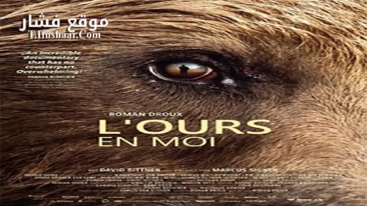 فيلم Bear Like 2019 مترجم