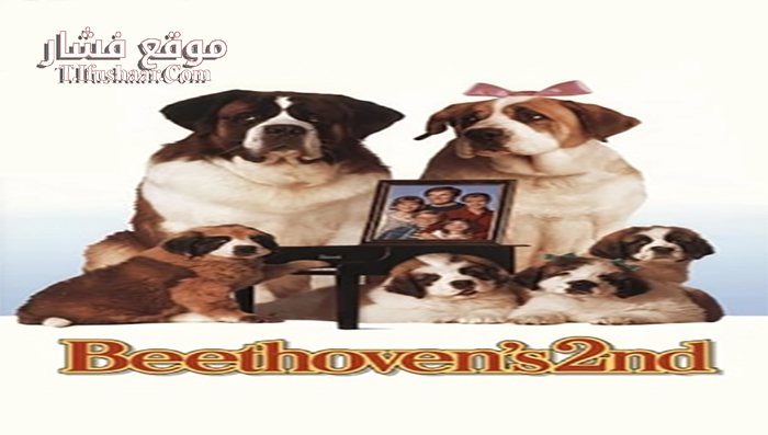 فيلم Beethoven’s 2nd 1993 مترجم