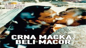 فيلم Black Cat White Cat 1998 مترجم