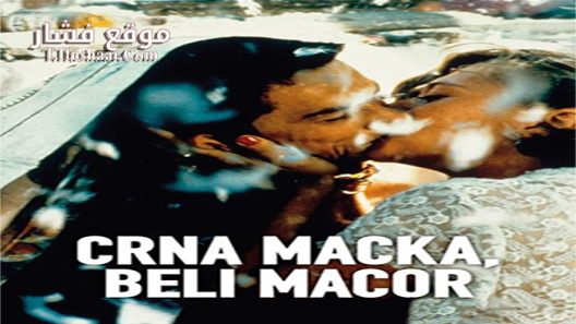 فيلم Black Cat White Cat 1998 مترجم