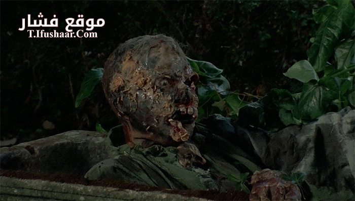 فيلم Burial Ground- The Nights of Terror 1981 مترجم