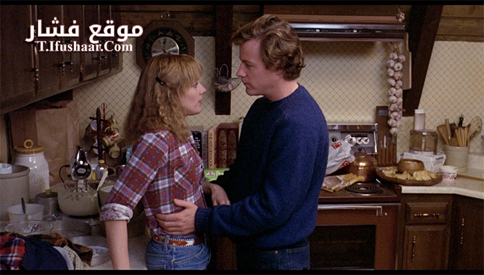 فيلم Chilly Scenes of Winter 1979 مترجم