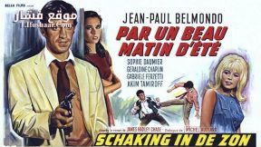 فيلم Crime on a Summer Morning 1965 مترجم