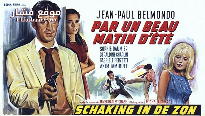 فيلم Crime on a Summer Morning 1965 مترجم