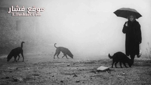 فيلم Damnation 1988 مترجم