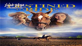 فيلم Destined to Ride 2018 مترجم