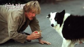 فيلم Down and Out in Beverly Hills 1986 مترجم