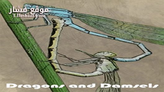 فيلم Dragons and Damsels 2020 مترجم