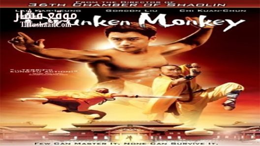 فيلم Drunken Monkey 2003 مترجم