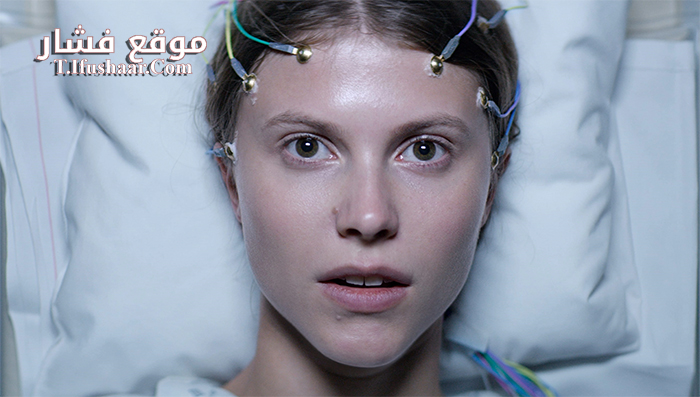 فيلم Eat Local 2017 مترجم