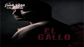 فيلم El Gallo 2018 مترجم