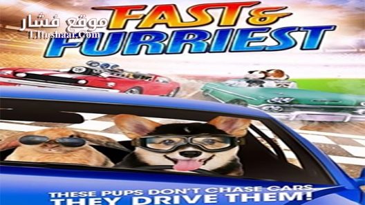 فيلم Fast and Furriest 2017 مترجم
