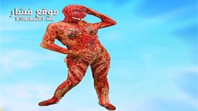 فيلم Flay 2018 مترجم