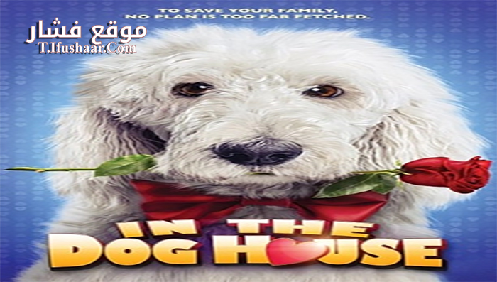 فيلم In the Dog House 2014 مترجم