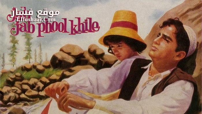فيلم Jab Jab Phool Khile 1965 مترجم