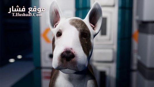 فيلم Jurassic Bark 2018 مترجم
