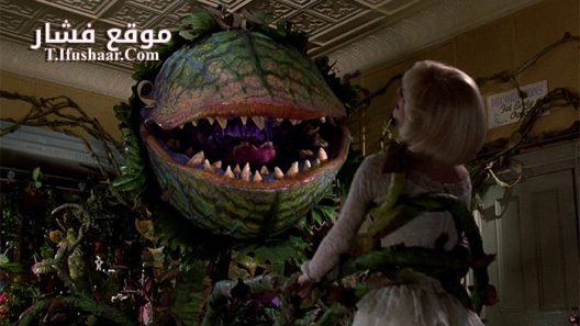 فيلم Little Shop of Horrors 1986 مترجم