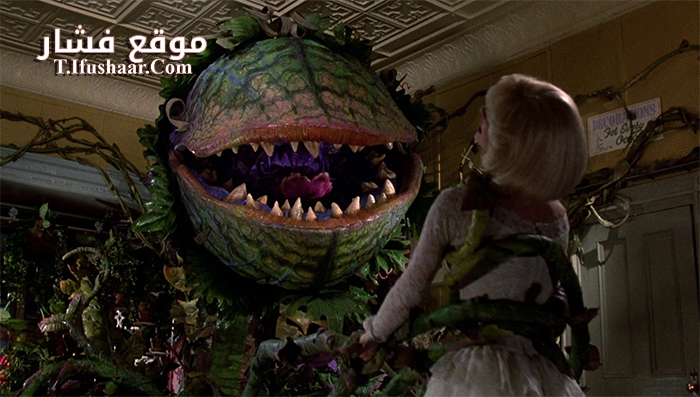 فيلم Little Shop of Horrors 1986 مترجم