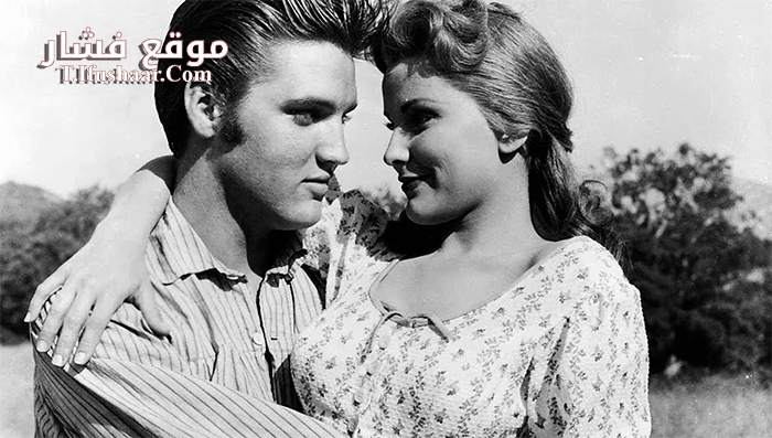 فيلم Love Me Tender 1956 مترجم