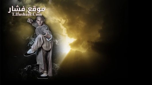 فيلم Master Of The Shadowless Kick Wong Kei-Ying 2016 مترجم