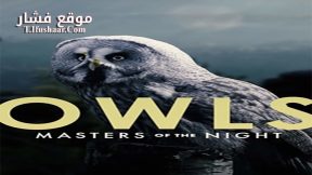 فيلم Masters of the Night 2020 مترجم