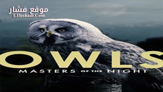 فيلم Masters of the Night 2020 مترجم